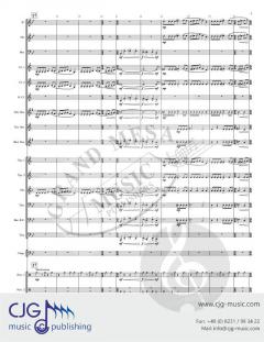 The Battlemage von Gavin Lendt 