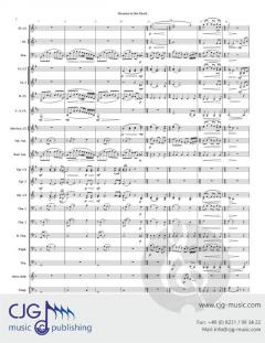 Dreams in the Dusk von B. J.  Brooks 