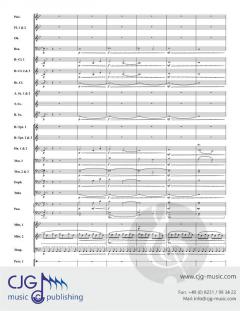 A Hot Air Balloon Adventure von John Pasternak 