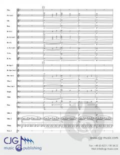 A Hot Air Balloon Adventure von John Pasternak 