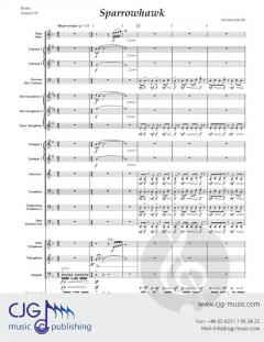 Sparrowhawk von Ted Allen 