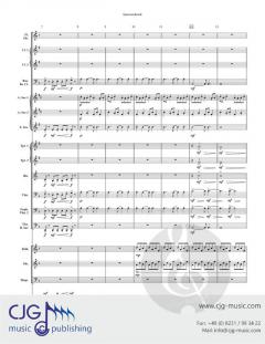 Sparrowhawk von Ted Allen 