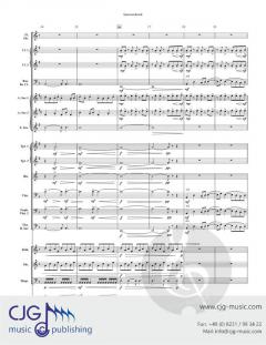 Sparrowhawk von Ted Allen 