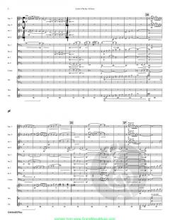 Curtain in the Sky von Robert Langenfeld 