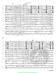 Curtain in the Sky von Robert Langenfeld 