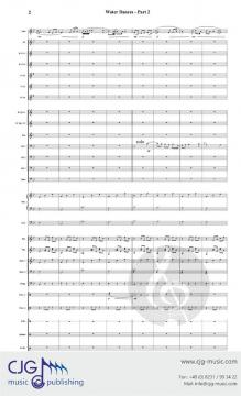 The Water Ballet von Jason K. Nitsch 