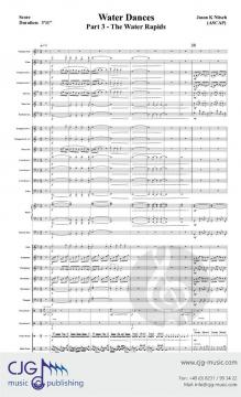 The Water Rapids von Jason K. Nitsch 