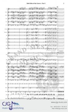 Both Sides of the Groove von Jason K. Nitsch 