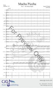 Machu Picchu 1 von Jason K. Nitsch 