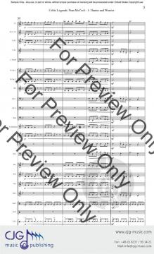 Finn McCool 4 von Jeremy Doss 