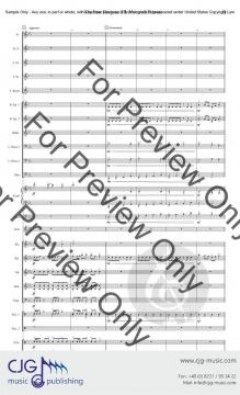 Four Dragons 3 von Jeremy Doss 