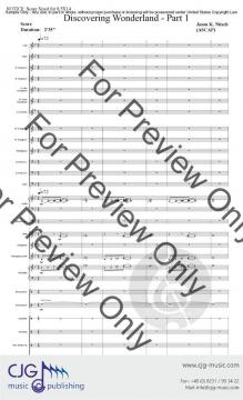 Down the Rabbit Hole von Jason K. Nitsch 