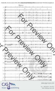 Down the Rabbit Hole von Jason K. Nitsch 