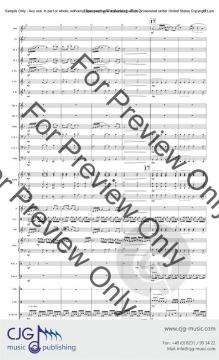 The Cheshire Cat von Jason K. Nitsch 