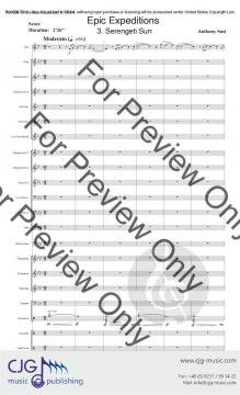 Epic Expectations 2 von Anthony Susi 