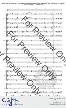 Epic Expectations 2 von Anthony Susi 