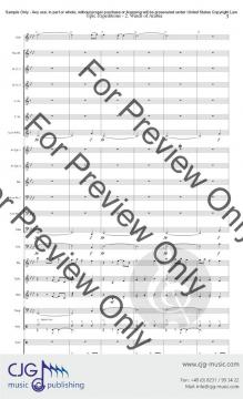 Epic Expectations 3 von Anthony Susi 