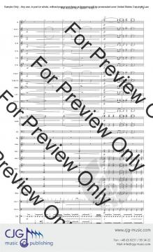 The Road Not Taken (Grade 3.5 Version) von J. R. Trimpe 