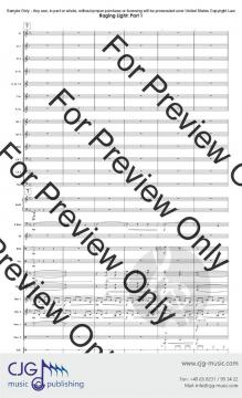 Raging Light von Bryce Newton 