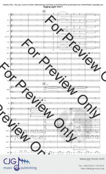 Raging Light von Bryce Newton 