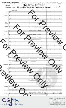 Time Travelers Part 3 - Lost in the Void von Jeremy Doss 