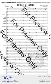 Birds of a Feather Part 2 von Jason K. Nitsch 