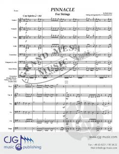 Pinnacle von Robert Grice 