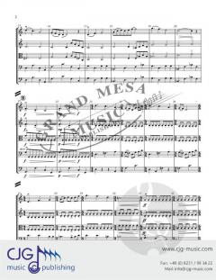 Supernova von Michael Hopkins 