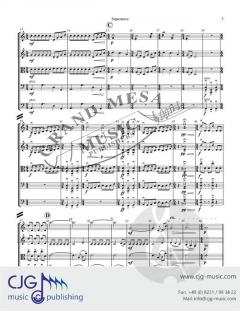 Supernova von Michael Hopkins 