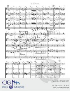 Up, Up and Away von Michael Hopkins 