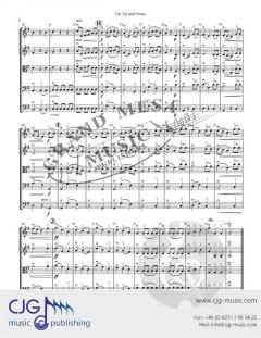 Up, Up and Away von Michael Hopkins 