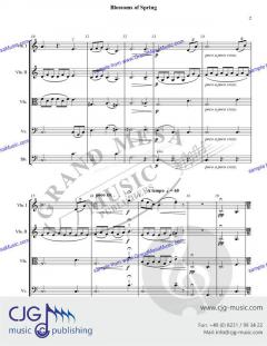 Blossoms of Spring von Michael Hopkins 