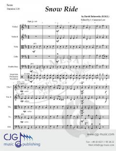 Snow Ride von David Bobrowitz 