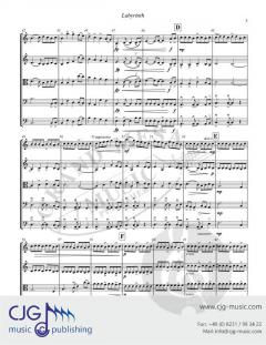 Labyrinth von Vance Zuehlsdorff 