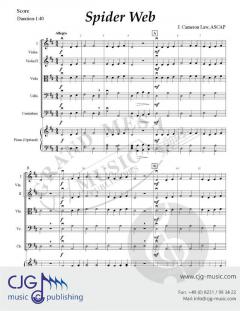 Spider Web von J. Cameron Law 