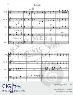 Escalator von David Bobrowitz 