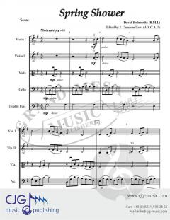 Spring Shower von David Bobrowitz 