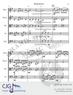 Spring Shower von David Bobrowitz 