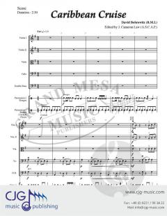 Caribbean Cruise von David Bobrowitz 