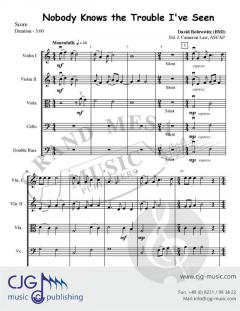 Nobody Knows the Trouble I've Seen 