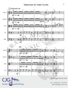 Nobody Knows the Trouble I've Seen 