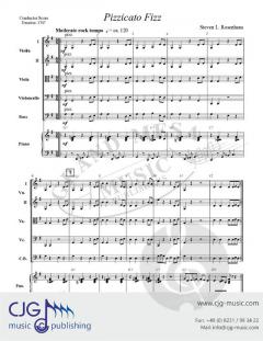 Pizzicato Fizz von Steven L. Rosenhaus 