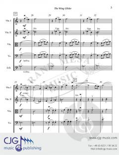 The Wing Glider von David Bobrowitz 