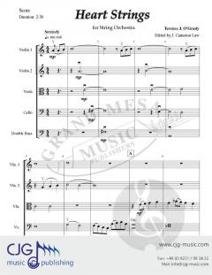 Heart Strings von Terrence O'Grady 