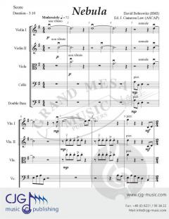 Nebula von David Bobrowitz 