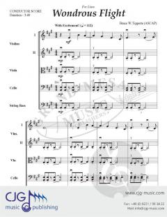 Wondrous Flight von Bruce W. Tippette 