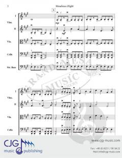 Wondrous Flight von Bruce W. Tippette 