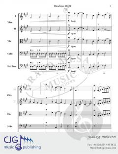 Wondrous Flight von Bruce W. Tippette 