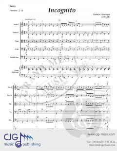 Incognito von Kathryn Griesinger 