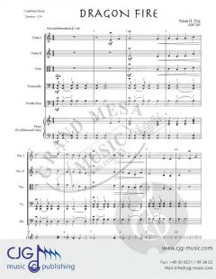 Dragon Fire von Susan H. Day 